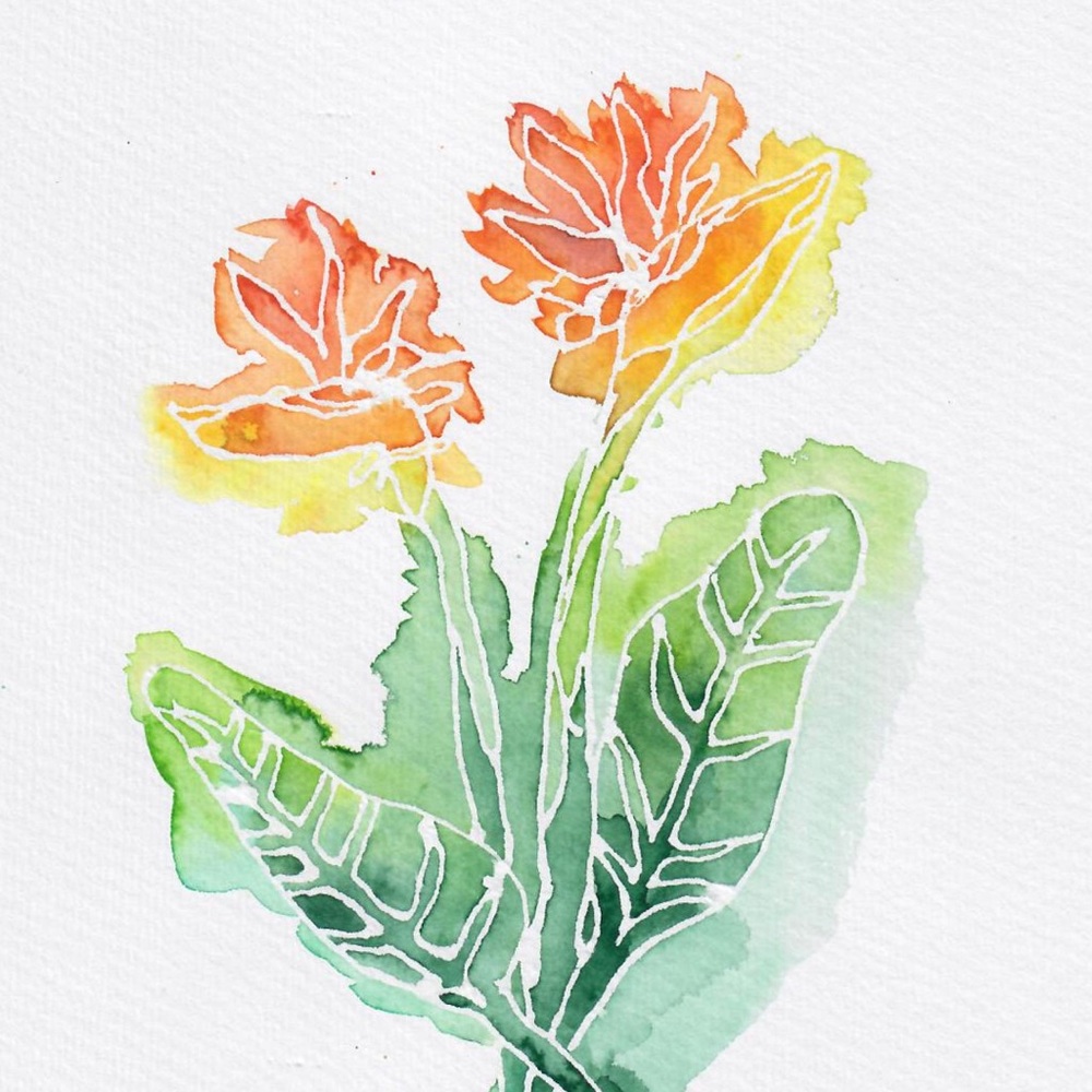 Birds of Paradise Watercolor
